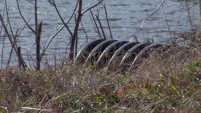 New Report Finds Industrial Facilities Violating Pollution Permits, Harming Bay