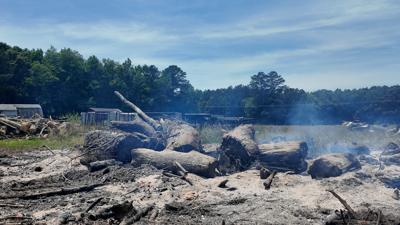 Brushfire aftermath