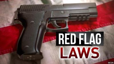 Va. Senate Passes "Red Flag" Gun Law Over Fierce Opposition