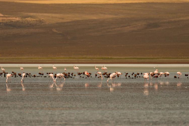 Climate Biodiversity Conference