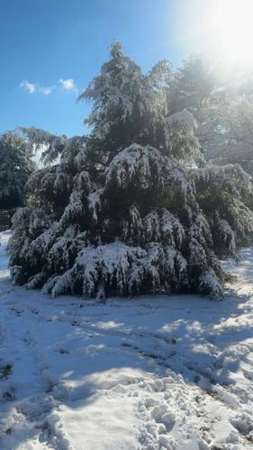 Katelynn Corder Milford.jpg