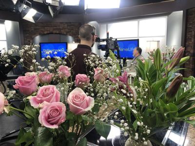 Historic Studio D in Bloom