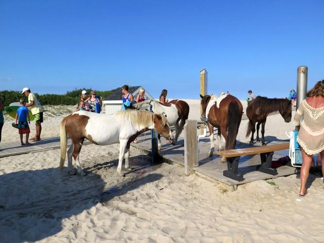 z6RRJkAfYhHobCdJUMSWy9I1QptzQGM0PKUKPOybEsY