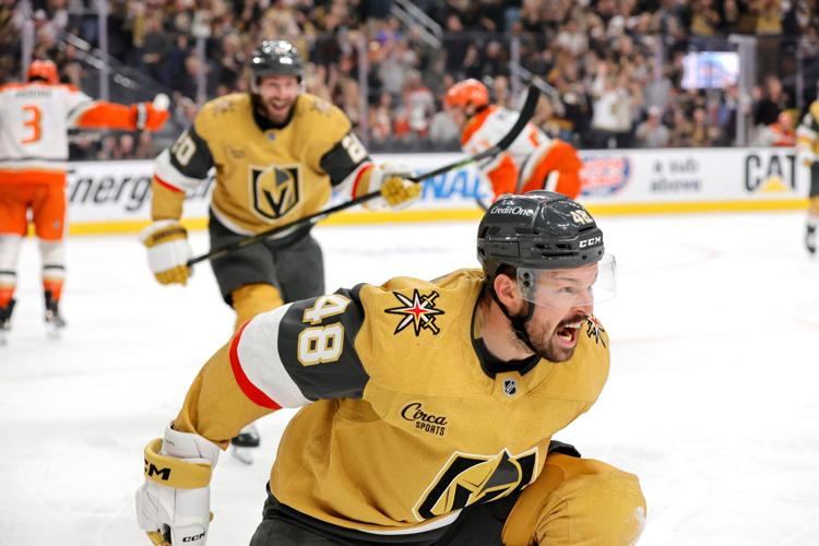 Ducks Golden Knights Hockey
