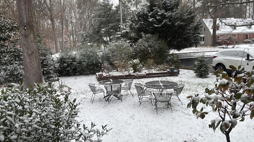 Karen McGowan Cambridge.jpg