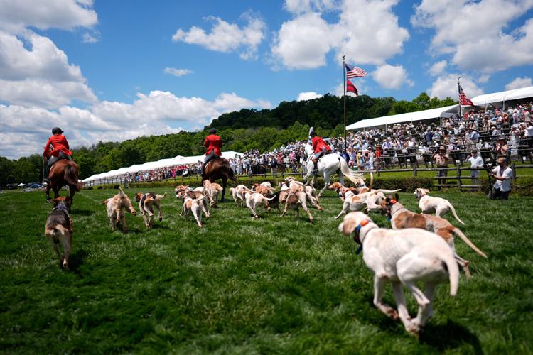 Iroquois Steeplechase Foxhounds