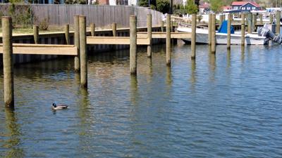 Technology To Prepare People for Nuisance Flooding