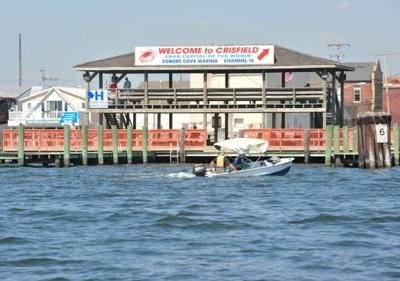 Crisfield Dock