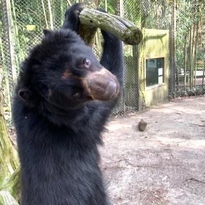 92847175_3196657660345023_2510007432135049216_n