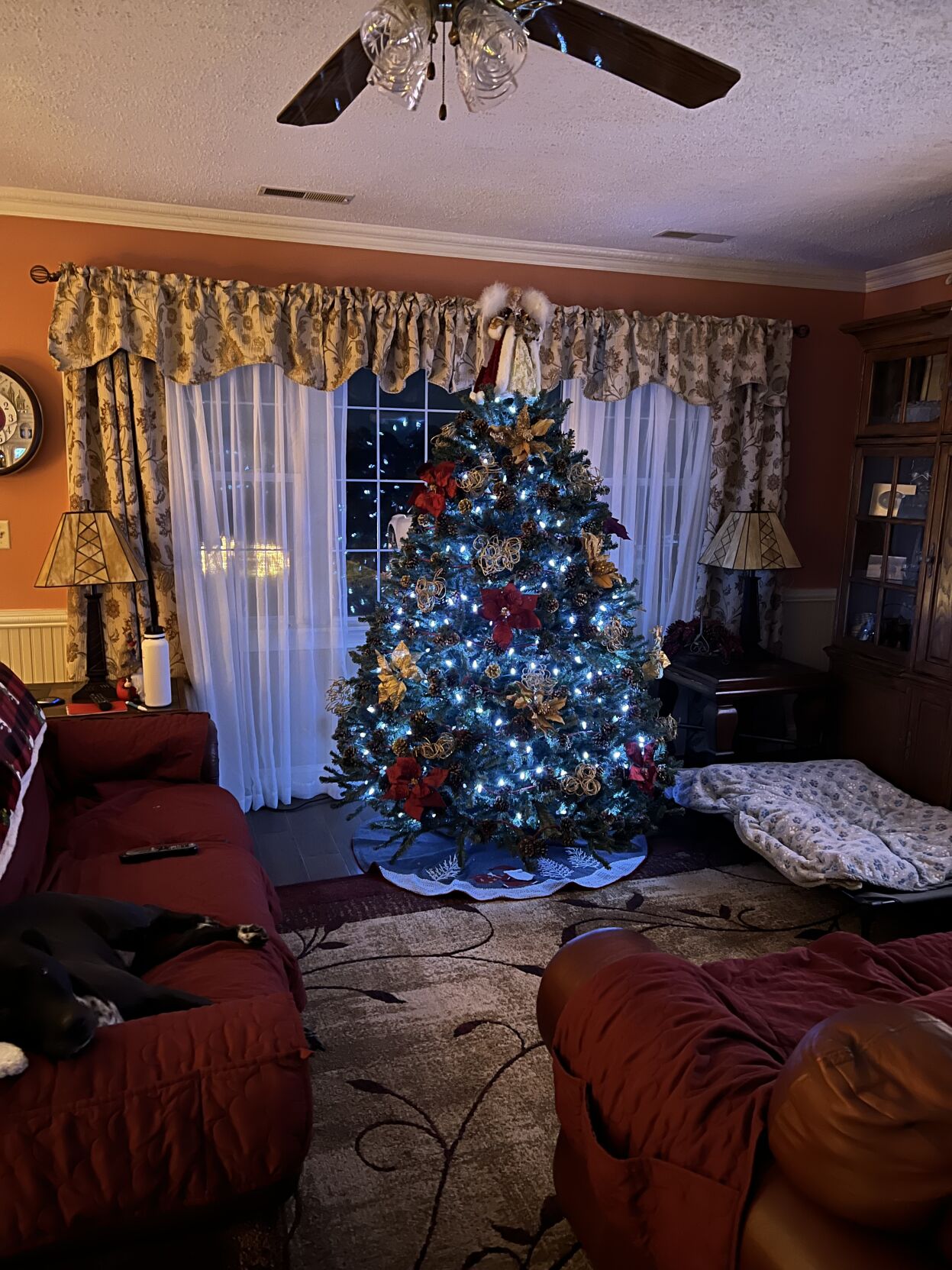George and Dawn Brode's tree in Woolford, Md.