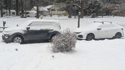 Snow 1/11/25