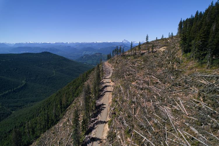 Climate Canada Deforestation