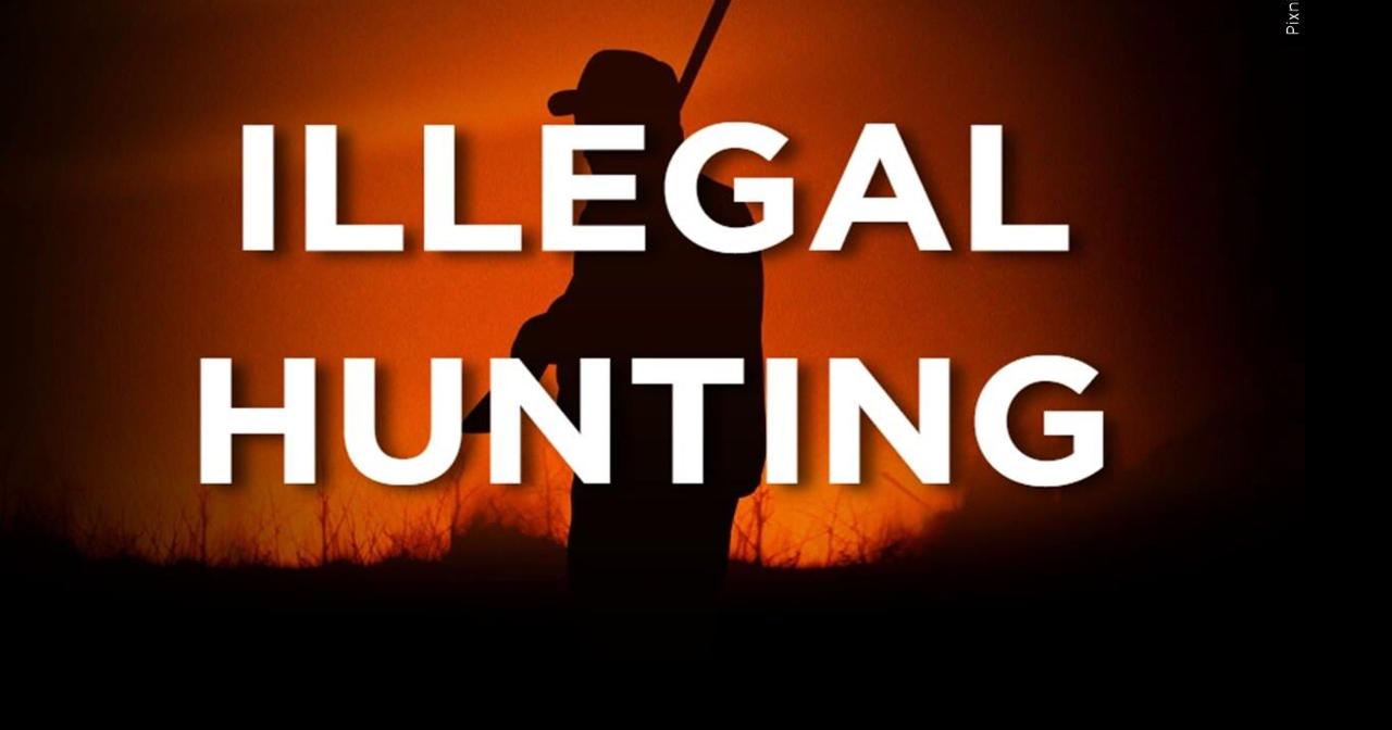 Two men charged for spotlighting deer in Sussex County