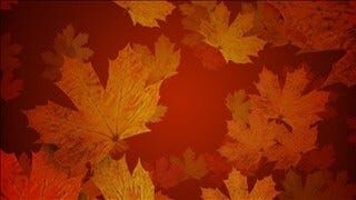 Blackbird Creek Reserve to Host Fall Festival
