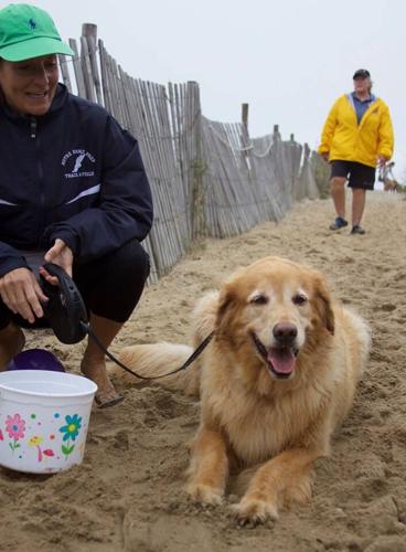 14479606_648615145312203_3158063732040080482_n