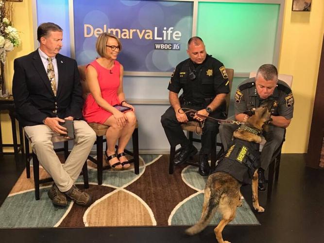 20751599_10214393034601985_1846832925_n