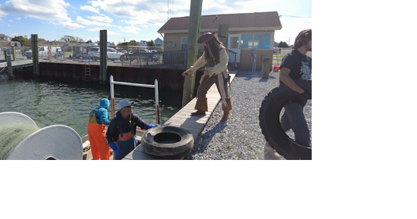 Maryland Coastal Bays Program 'Plunders' to Clean Ocean City - Vimarsana News