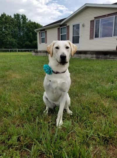 Ari’s first birthday (476×640)