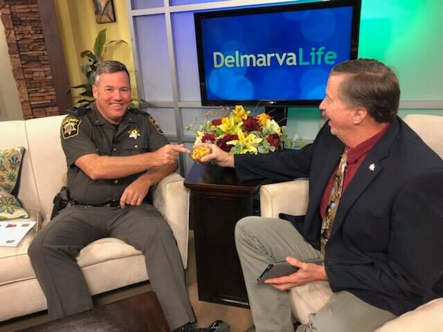 23114803_10215079101393226_1872060082_n