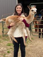 Outstanding Dreams Alpaca Farm