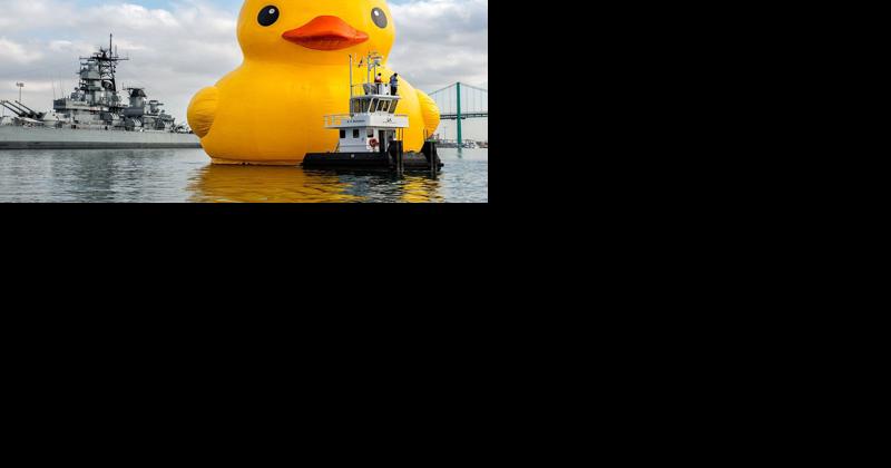 World's Largest Rubber Duck Returning to Delmarva at The Monster Mile | Latest News - Vimarsana News