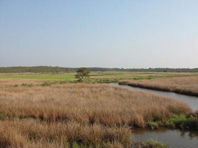 Blackwater NWR Announces Partial Closure of the Wildlife Drive