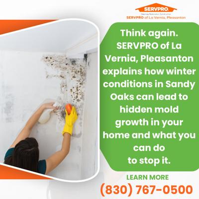 Hidden winter mold prompts increased demand for professional mold removal