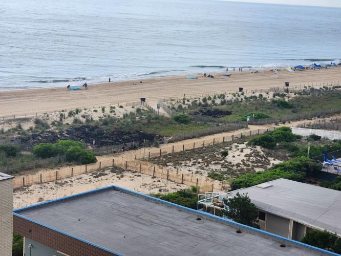 Aftermath of OC dune fire, 6/21