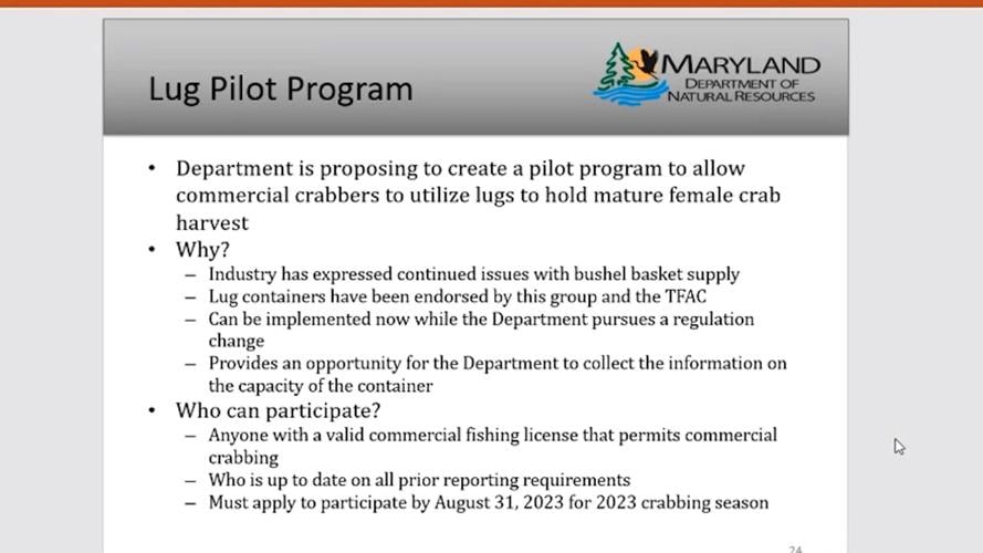 Proposed Pilot Program For Female Blue Crabs