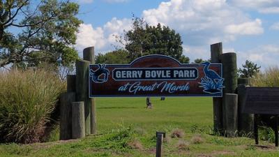 Request Of Cameras In Cambridge Parks