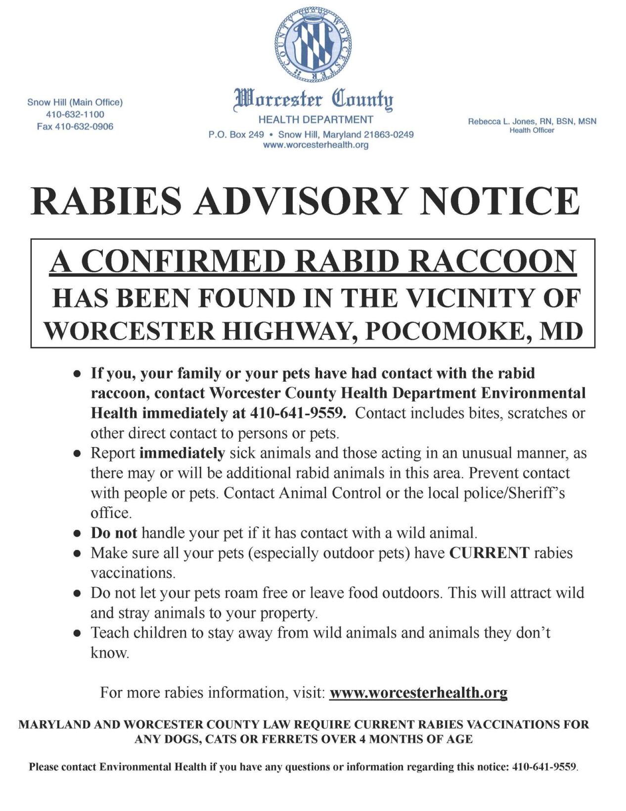 rabid raccoon in pocomoke
