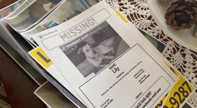 Millsboro Woman Hires Pet Tracker to Help Find Missing Dog