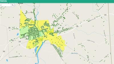 Proposed Election Reform For Federalsburg