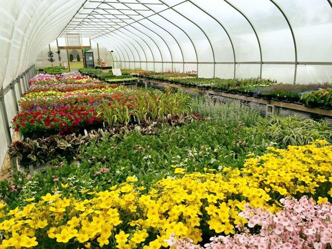 12115806_1245193512165426_6306594257406903602_n