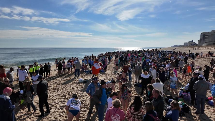 2nd Half of Penguin Swim Crowd