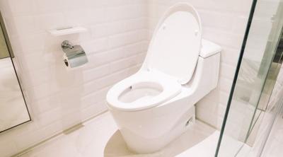 Toilet Care Tips to Avoid Clogs and Costly Repairs