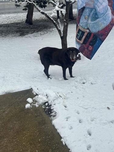 Cora Wingo Reed Bowers Beach.jpg