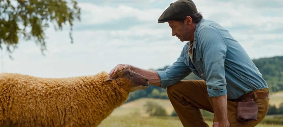 The Sheep Detective2