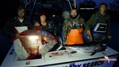 Ocean City fisherman make rare catch