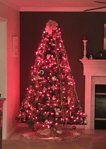 Lyndon and Janice Yearick, magnolia)