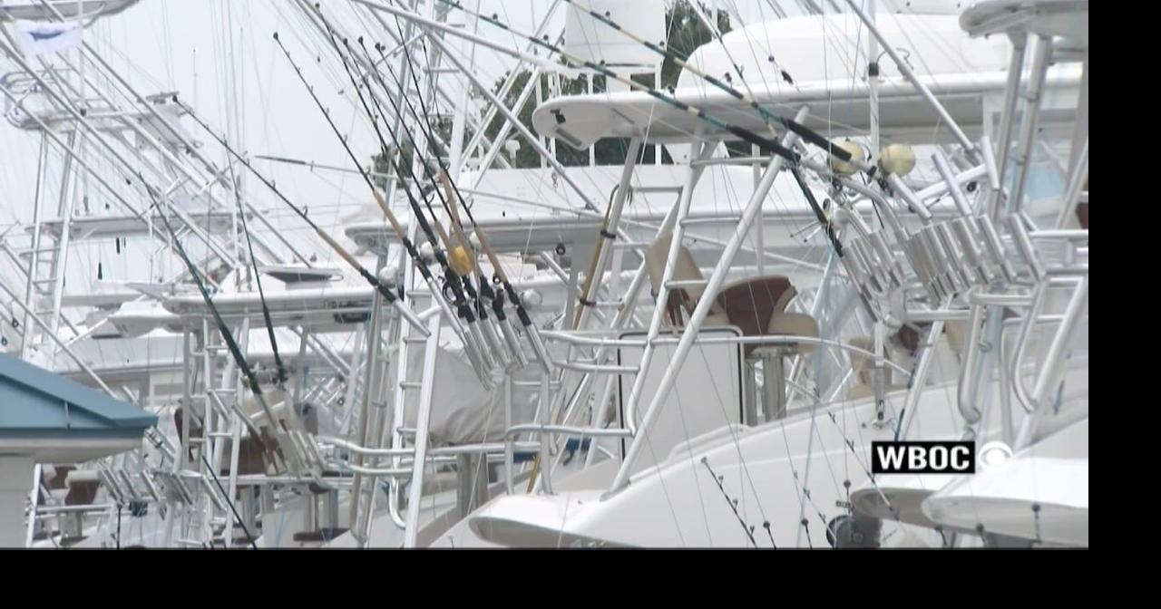 Rough Waters Lead to a Lackluster Friday of the White Marlin Open