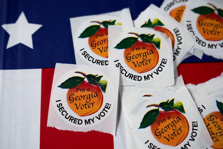 Georgia Elections Investigation