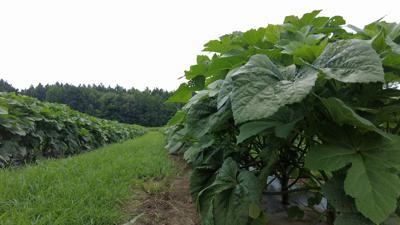 Farmers And Congressmen Discuss 2023 Farm Bill