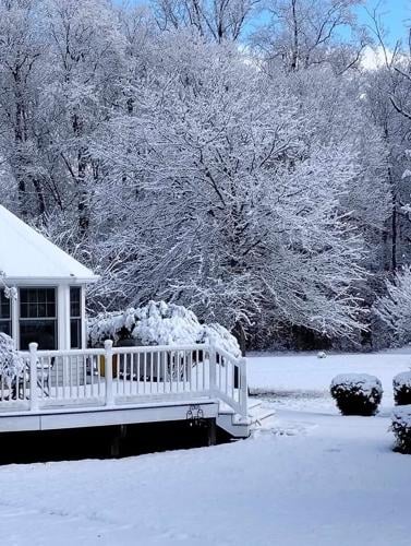 Jean Fitzpatrick Queenstown.jpg