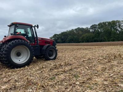 Corn Is A Luxury Crop This Harvesting Season
