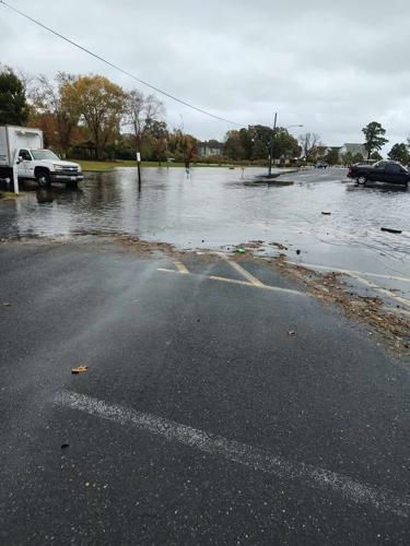 Tilghman Island, Md.