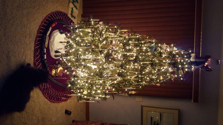 Susan-Livelsberger-in-Lincoln