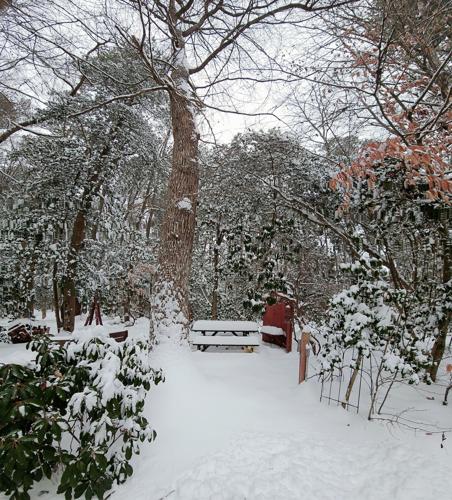 Erin Pugh, Denton MD.jpg