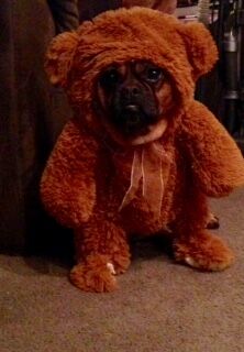 Milly Salisbury, MD.