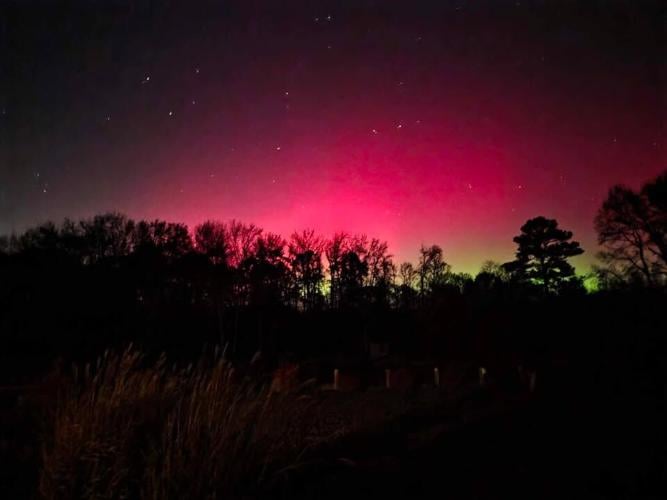 Lisa Rash Biscoe.jpg